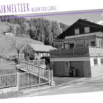 House with garden in the foreground. Mount Dobratsch can be seen in the background.