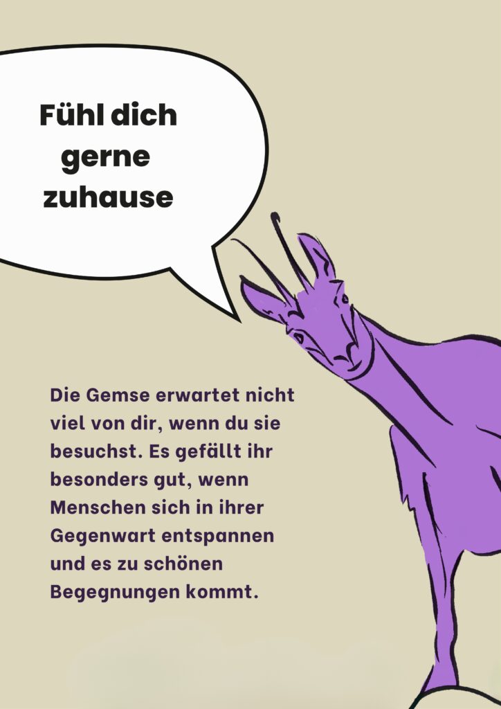 Fühl dich gerne zuhause: Die Gemse erwartet nicht viel von dir, wenn du sie besuchst. Es gefällt ihr besonders gut, wenn Menschen sich in ihrer Gegenwart entspannen und es zu schönen Begegnungen kommt.